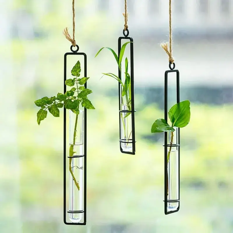Viral Ecofynd TTP011 Stylish Metal Wall Hanging Test Tube Planter for Elegant Indoor Decor(Pack of 3)