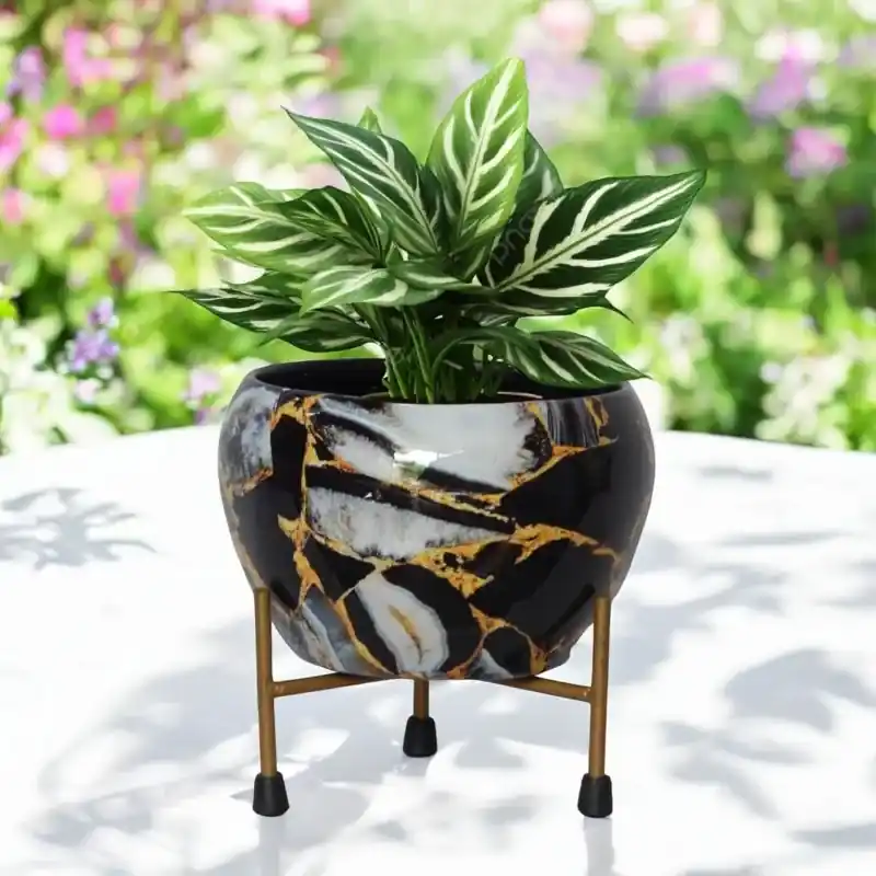 Ecofynd Lio Black Metal Planter Pot with Gold Stand | Modern Style Planter Set for Indoor Outdoor Home Decor Affordable