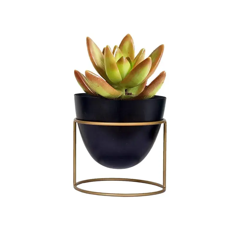Shop Now Ecofynd 6 inch Black Metal Planter Pot with Stand | Used for Indoor Home & Garden Decoration