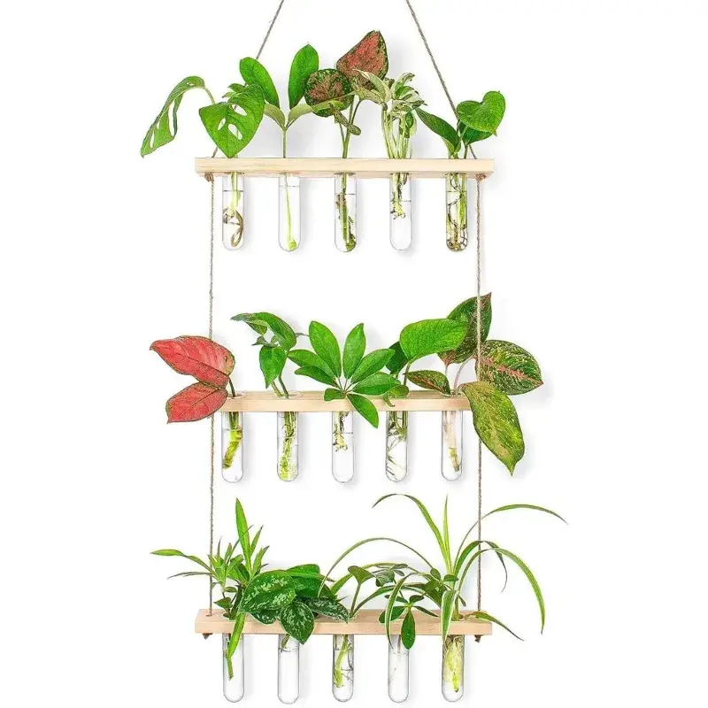 Ecofynd TTP006 Wooden 3-Tier Wall Hanging Test Tube Planter for Hydroponic Indoor Decor 5.0 Today Only