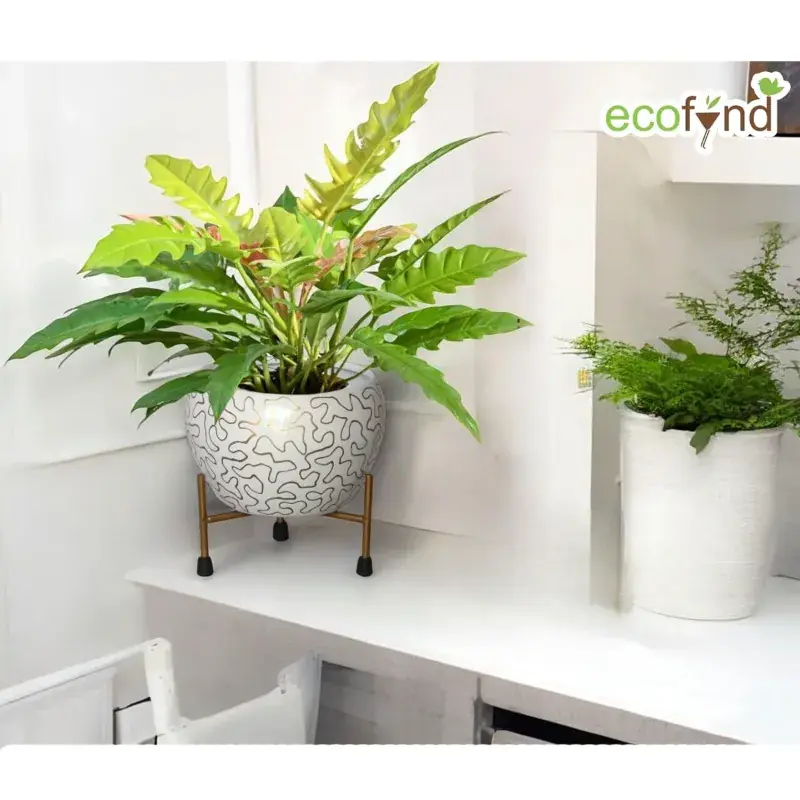 Ecofynd White and Gold Desk Planter | Used for Indoor Outdoor Plants/Home Decor 5.0 Special Offer