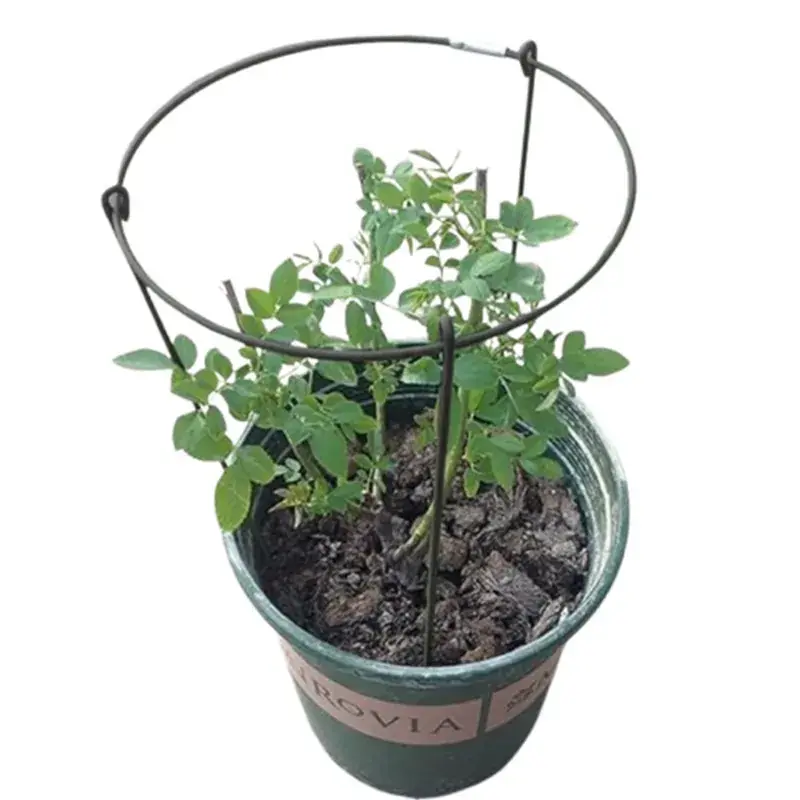 While Supplies Last Ecofynd 15 inches Metal Plant Stakes for Plant Support - Pack of 5 (TR012-BLK-105) 5.0