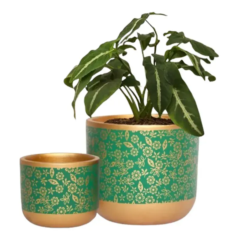 Bargain Ecofynd Designer Terracotta Flower/Plant Pots of 6 Inch & 4.5 Inch for Living Room, Balcony (TPOT001-102-GRN)