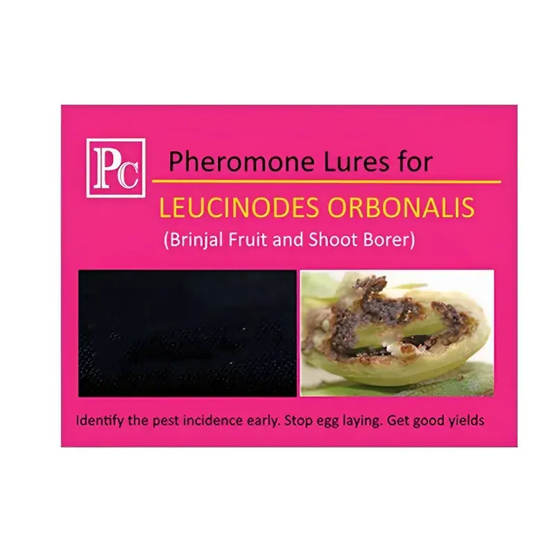 Best Choice Insect Lures For Brinjal Fruit and Shoot Borer (Leucinodes Orbonalis)(Pack-Pack of 20)