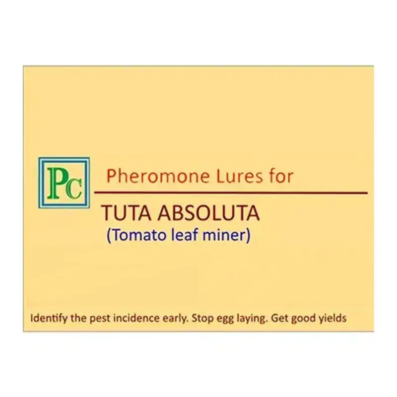 Insect Lures For Tomato Leaf Miner (Tuta Absoluta)(Pack-Pack of 15) Free Returns