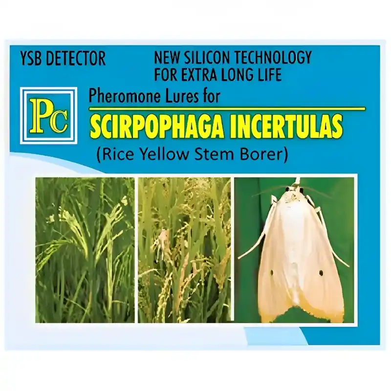 Reduced Price Pheromone Lures For Rice Yellow Stem Borer (Scirpophaga Incertulas)(Pack-Pack of 20)