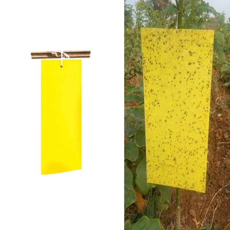 Direct From Factory Sticky Trap 22 cm x 28 cm | For Insect Pest Control(Pack-Pack of 12,Color-Blue)