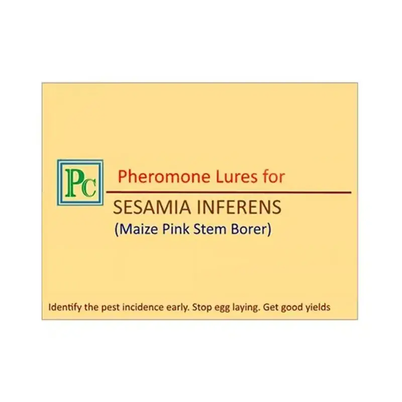 50 Pcs Insect Lures For Maize Pink Stem Borer (Sesamia Inferens) No Minimum Order