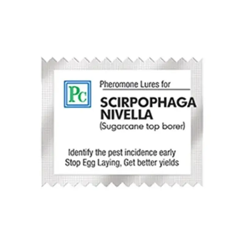 Original 30 Pcs Insect Lures For White Rice Borer (Scirpophaga Nivella)