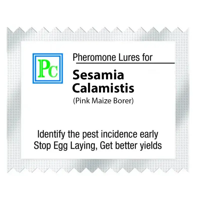 50 Pcs Insect Lures For Pink Maize Borer (Sesamia Calamistis) Next Day Delivery