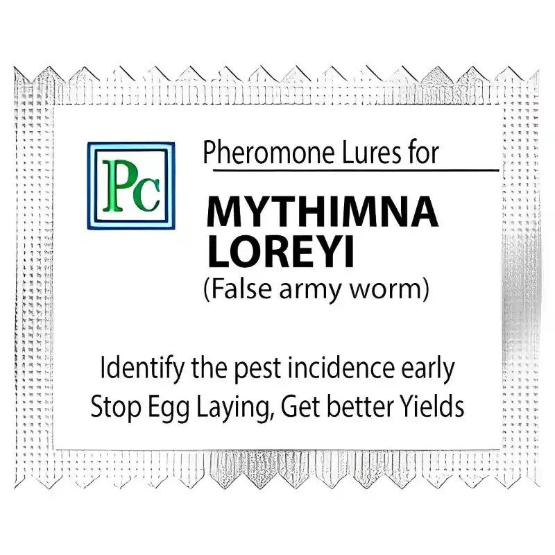 Same Day Shipping 40 Pcs Pheromone Lures For False Army Worm (Mythimna Loreyi)