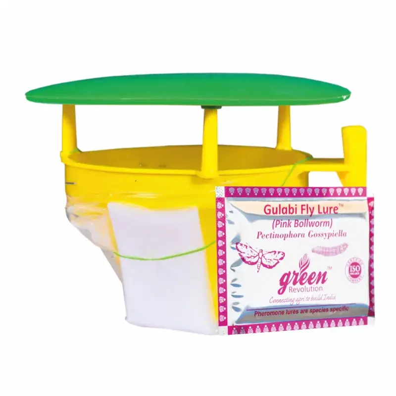 Buy Today Green Revolution Highly Effective Funnel Insect Trap with Gulabi Fly Insect Lure(Pack-10 pcs)