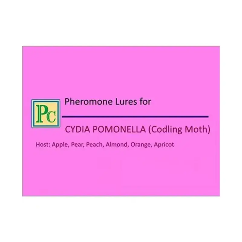 50 Pcs Insect Lures For Codling Moth (Cydia Pomonella) Today Only