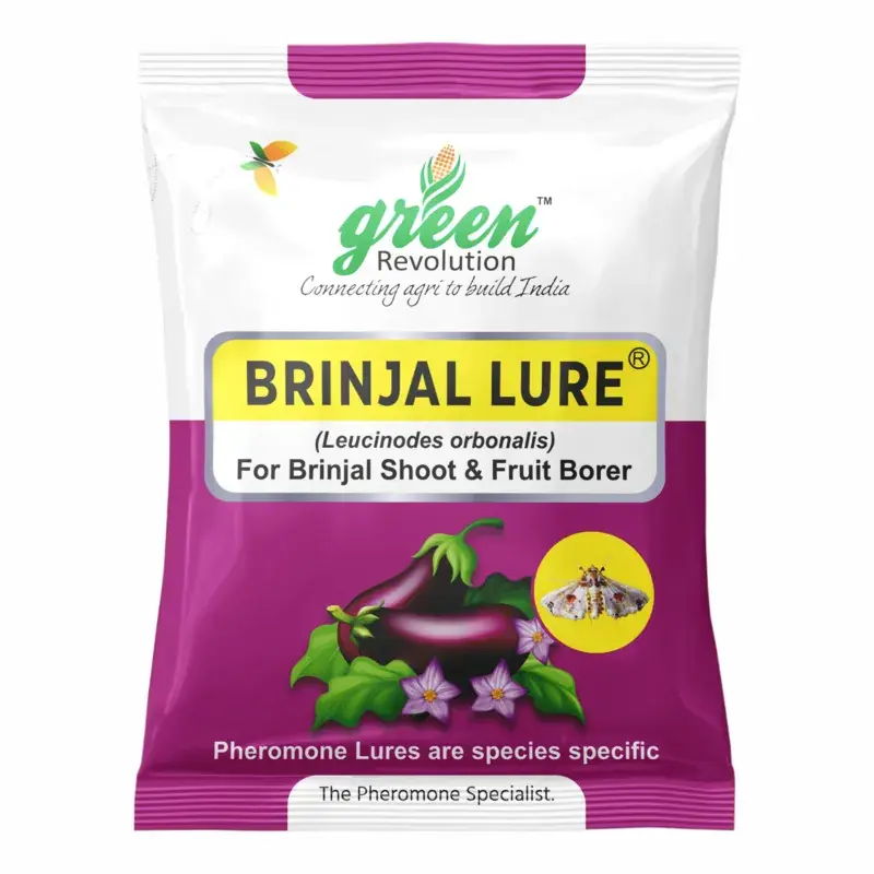 Big Sale Green Revolution Highly Effective Brinjal Insect Lure(Pack-20 pcs)