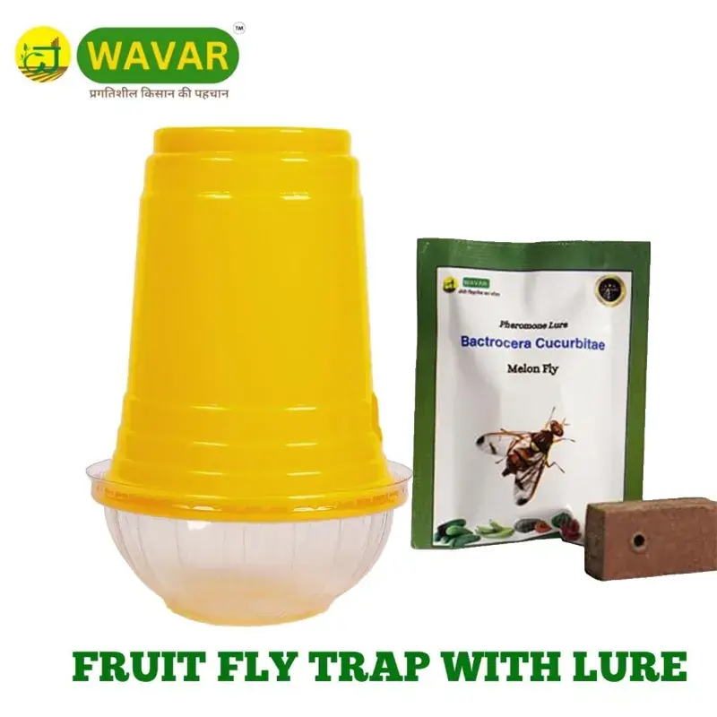 Best Seller WAVAR Fruit Fly Trap with Cucurbitae Lure(Pack-3 Traps and 3 Lures)