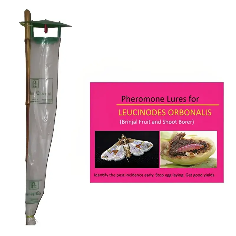 SP Pheromone Trap Funnel with Leucinodes Orbonalis Lure for Brinjal (Trap+Lure)(Pack-25 Pcs) Fast Shipping