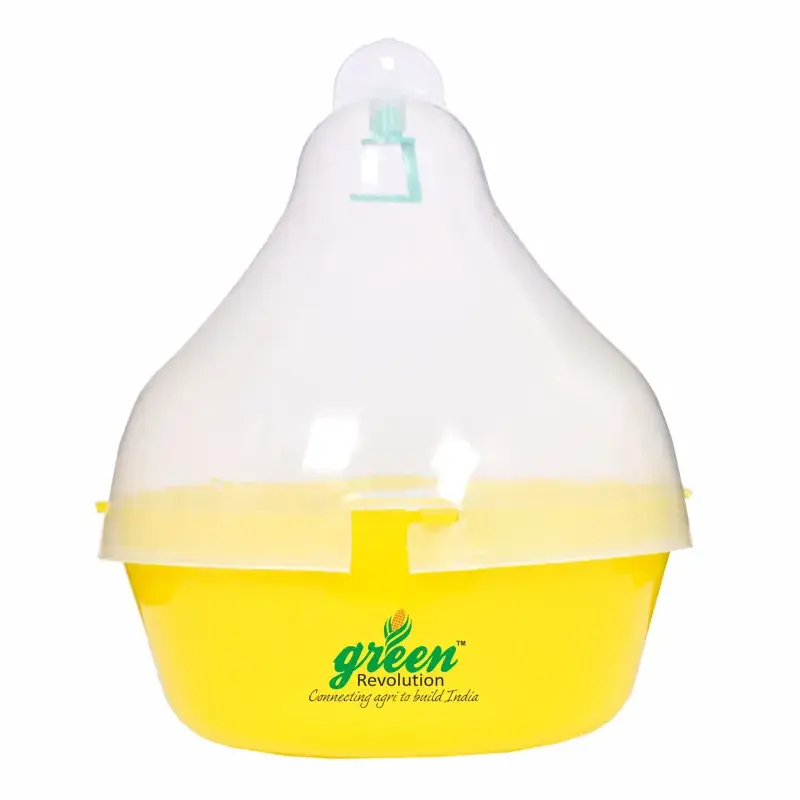 Latest Green Revolution Highly Effective Maxplus Insect Trap(Pack-10 pcs)
