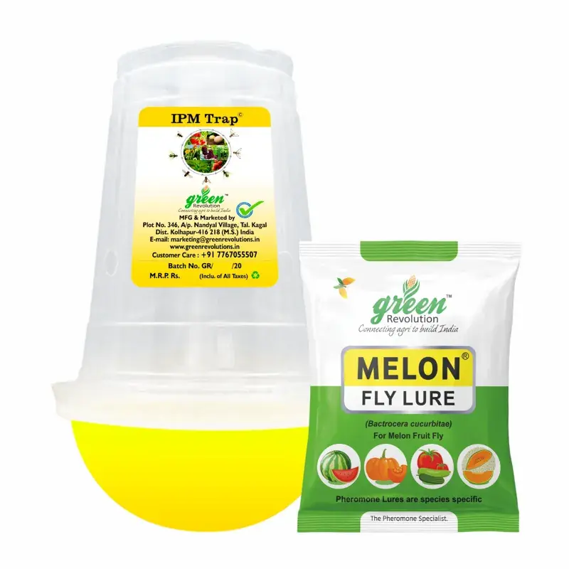 Green Revolution Highly Effective IPM Insect Trap with Melon Fly Lure(Pack-10 pcs) Cheap
