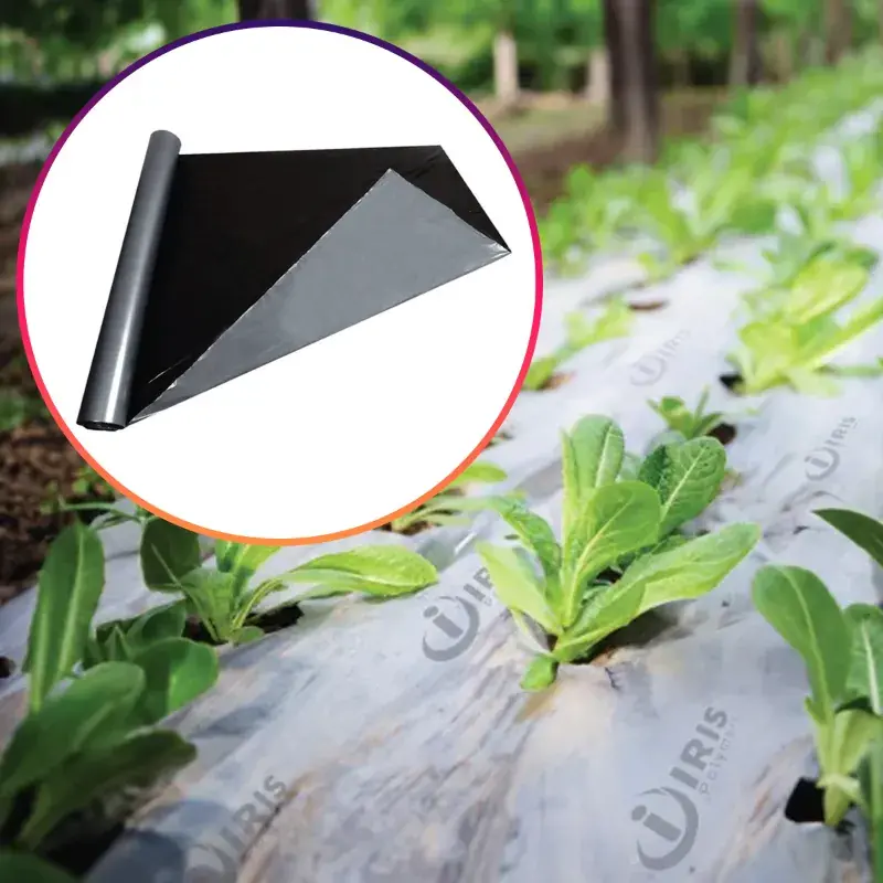 Price Cut Iris Polymers 2 pieces Premium Quality 1.2 x 400 meter Silver and Black Mulching Sheet with 5 months Warranty