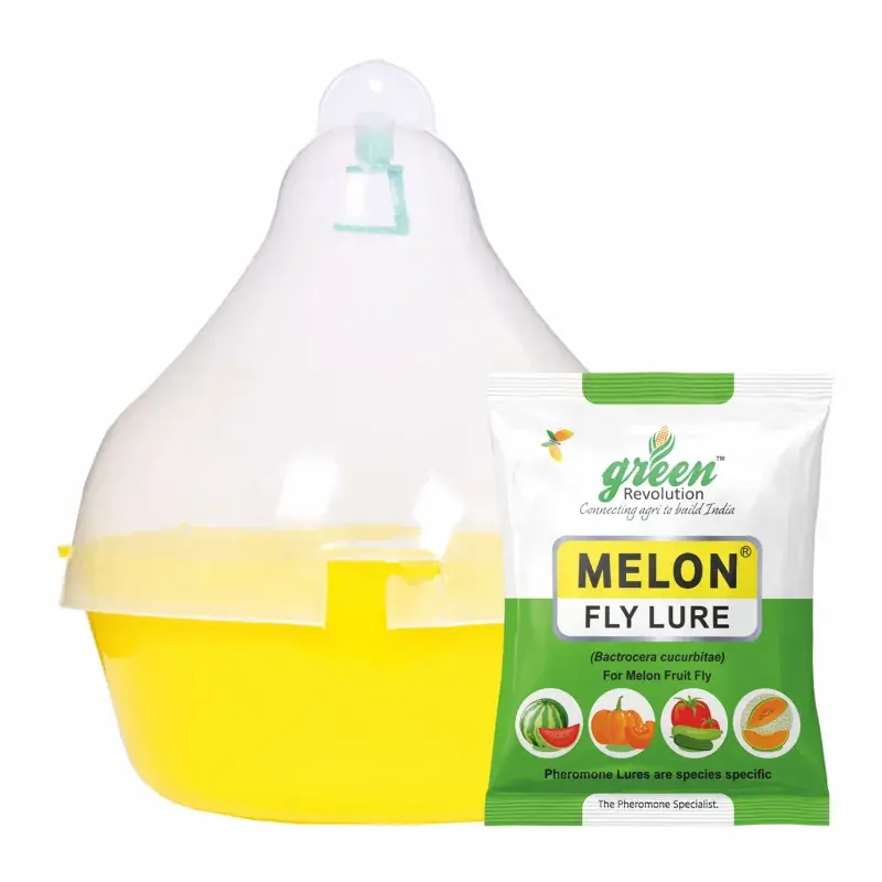 Reduced Price Green Revolution Highly Effective Maxplus Insect Trap with Melon Fly Insect Lure(Pack-5 pcs)