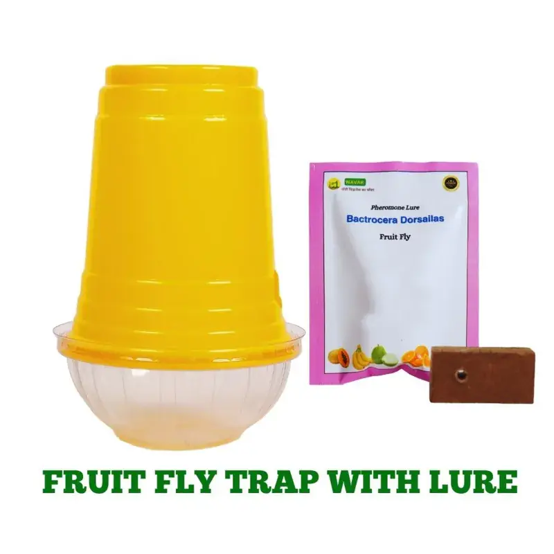 Trending WAVAR Fruit Fly Trap with Bactrocera Dorsalis Lure(Pack-Pack of 3 (3 Traps and 3 Lures)) 5.0