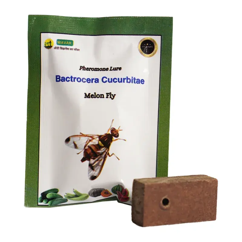 Special Offer WAVAR Bactrocera Cucurbitae Melon Lure | Suitable for Farm, Garden, Agricultural Filed(Quantity-5 packets)