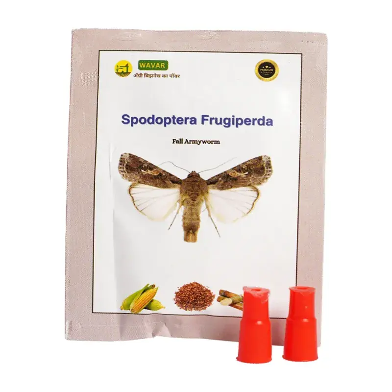 WAVAR Spodoptera Frugiperda Lure (Fall Army Worm) | 2 LuresPer Packet(Quantity-5 packets) Clearance
