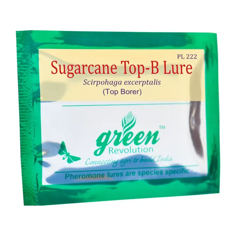 Green Revolution Highly Effective Sugarcane Top-B Lure | Scripophaga Nivella(Quantity-10 packets) Viral