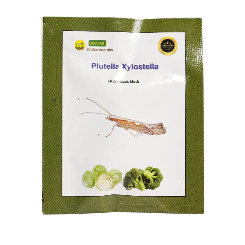 Best Seller WAVAR Plutella Xylostella Lure (Diamond Back Moth) | 2 LuresPer Packet(Quantity-5 packets)