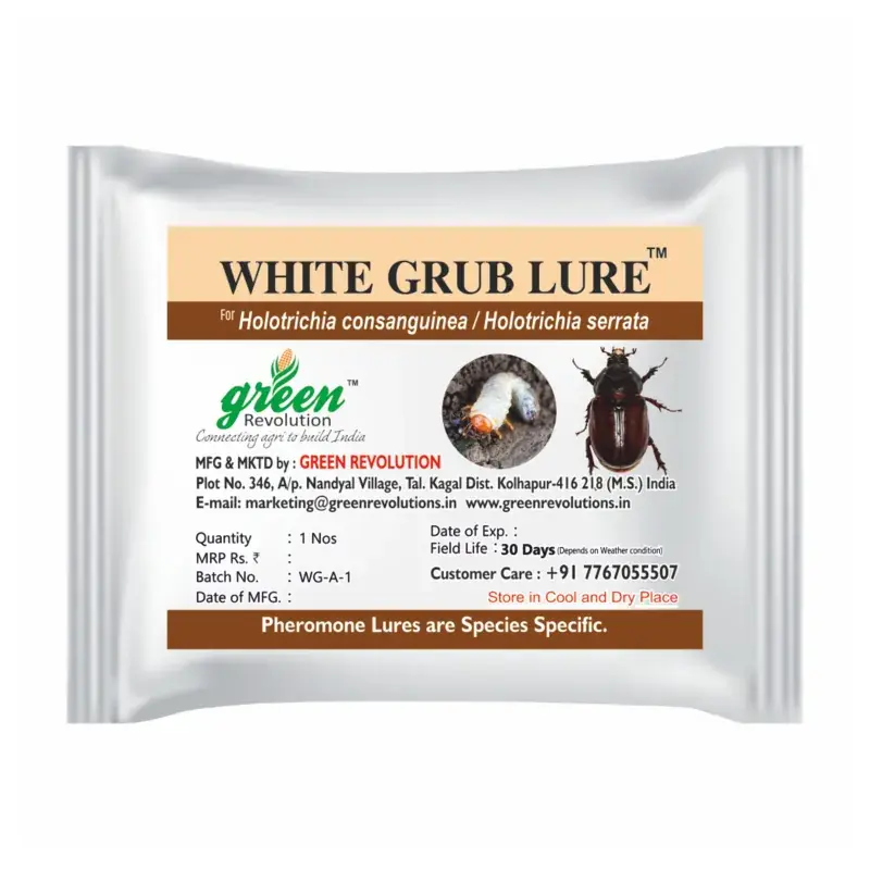 Green Revolution Highly Effective White Grub Insect Lure | H. serrata H consungunia(Quantity-5 packets) Grab Now