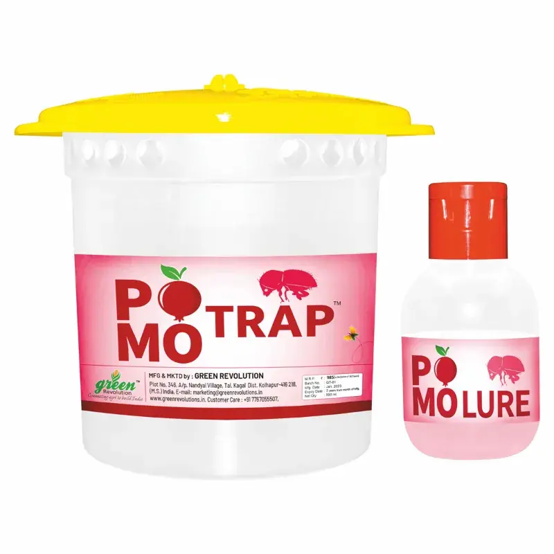 Green Revolution Highly Effective Pomo Trap with Pomo Lure(Quantity-5 pieces) Editor’s Pick