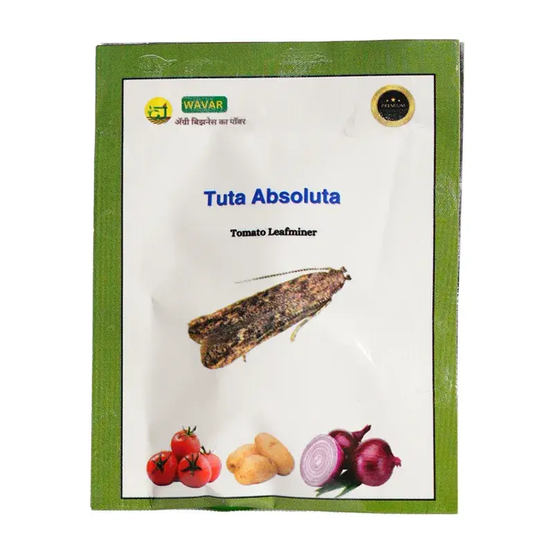 WAVAR Tuta Absoluta Lure (Tomato Leaf Miner) | 2 LuresPer Packet(Quantity-5 packets) Viral