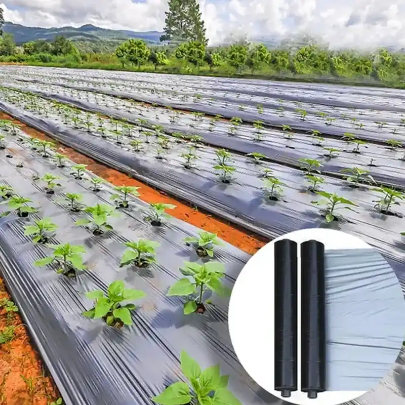 Bargain Star 25 micron, 1 meter x 1200 feet High Quality Black and Silver Mulching Sheet